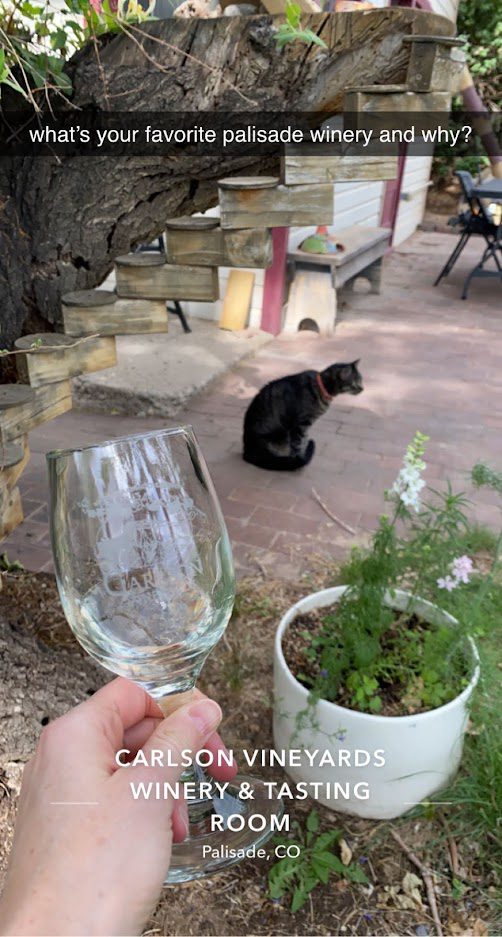 carlson vineyards palisade colorado with cat