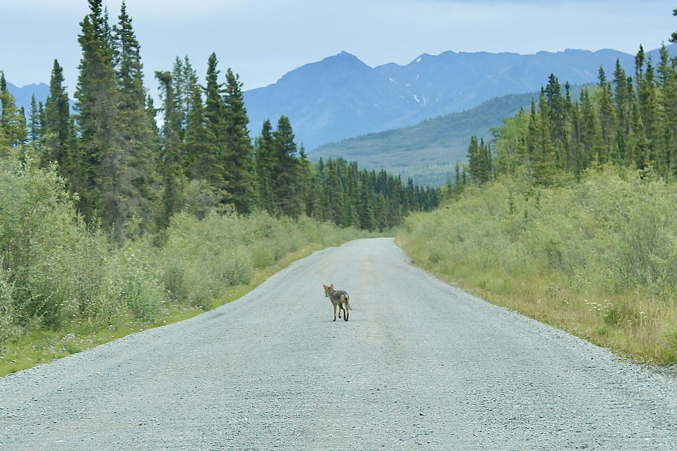 mccarthy road alaska wrangell st. elias national park