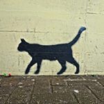 cat, black cat, graffiti, cat shadow